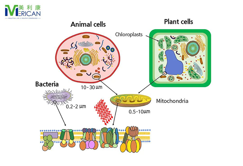 1646710331903684.jpg 6.jpg