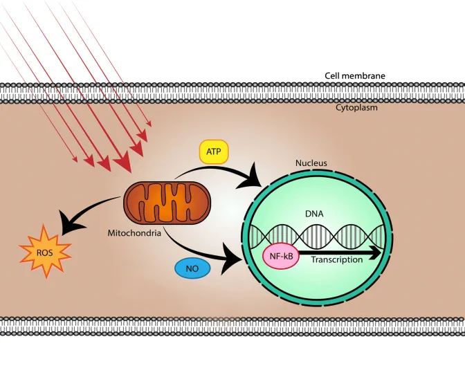 1671171319148290.jpg 1671171319148290.jpg