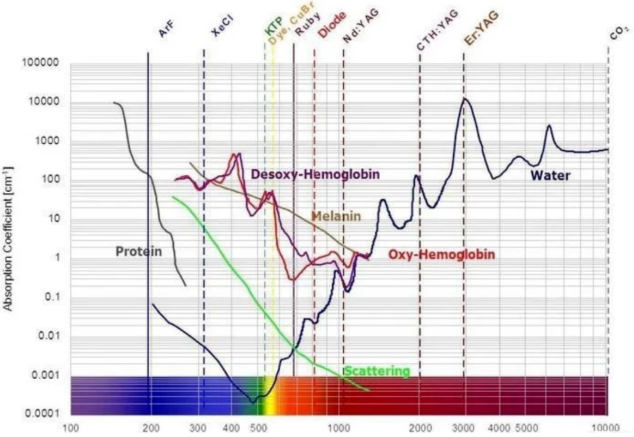 1766655865437179.png image.png